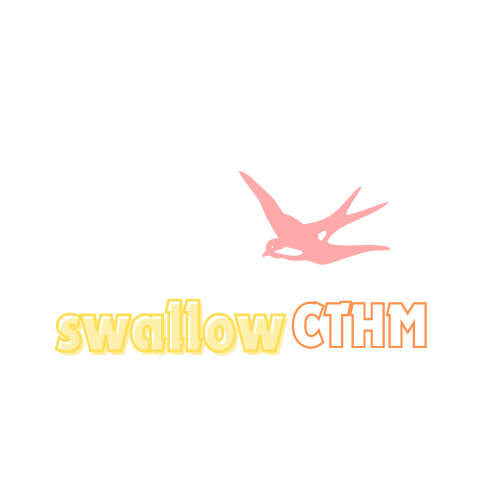 SwallowCTHM